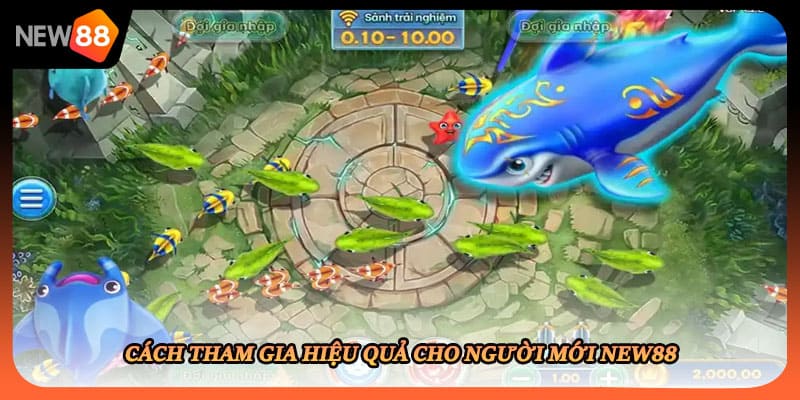 Cách tham gia hiệu quả cho người mới New88
