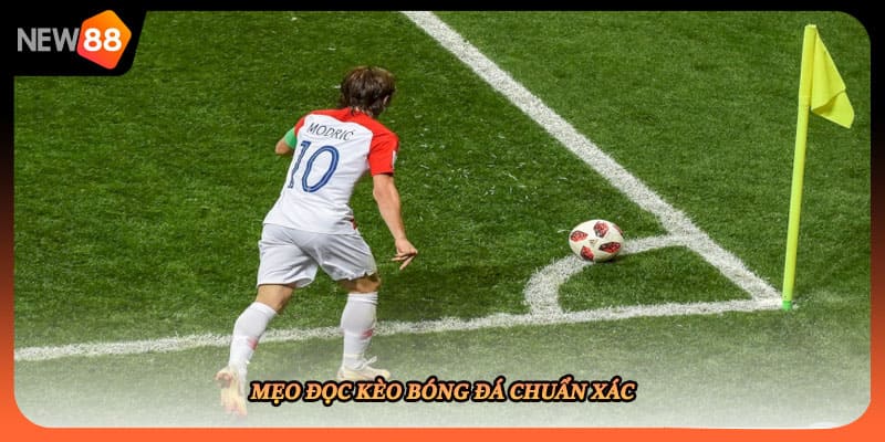 Mẹo đọc kèo bóng đá chuẩn xác